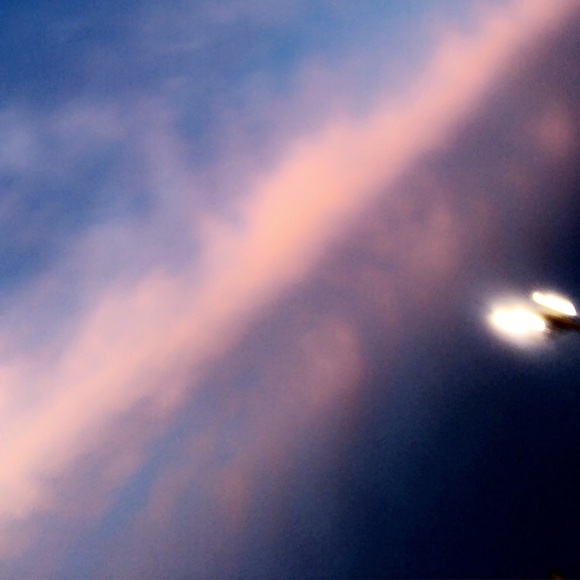 Meet your Posher, Lily - Picture 1 of 1